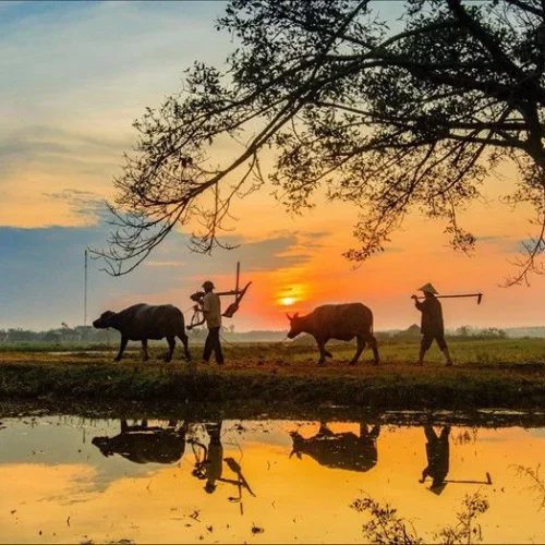 Andaman Honeymoon Escape – 6D/5N of Love & Luxury